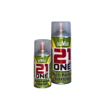 21inone.webp